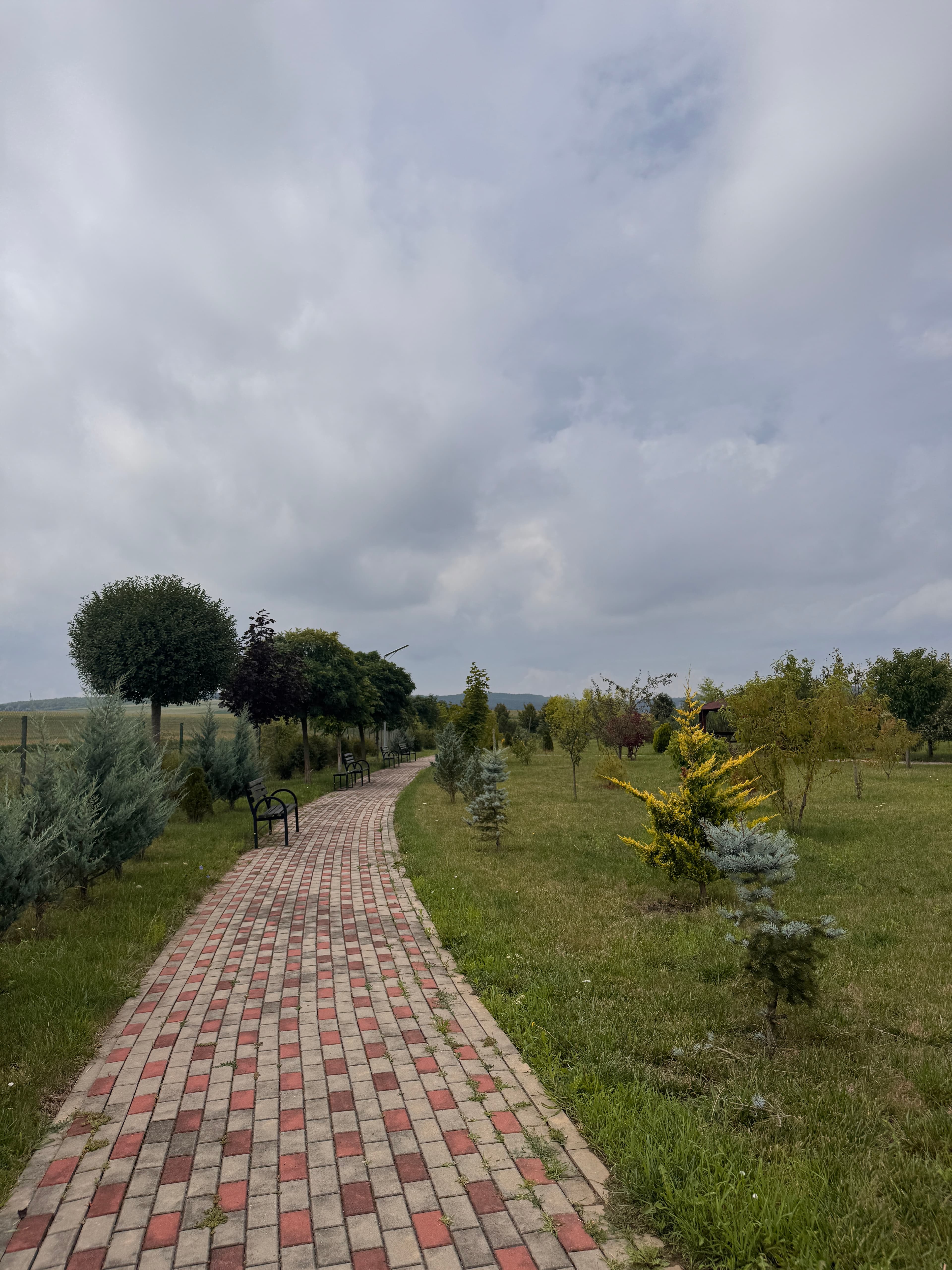 Grădină — Maria Theresia