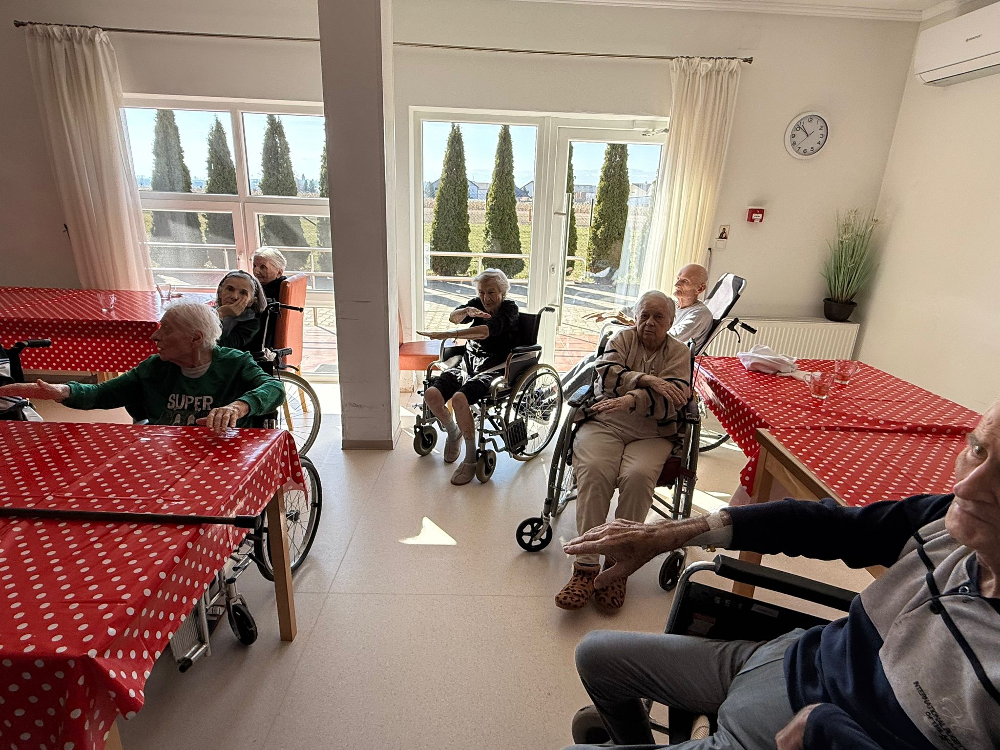 Nutriția seniorilor: cum adaptăm meniul la nevoile medicale
